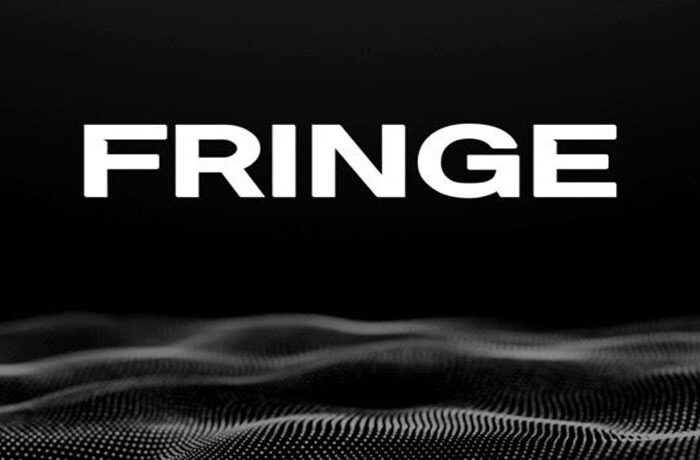 What is Fringe Finance, and what makes it unique?